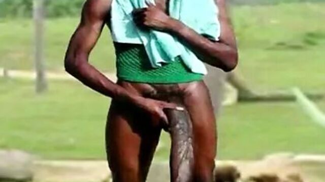 Парк юрского периода