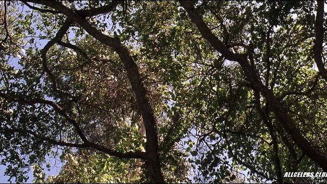 Debi Sue Voorhees в пятницу 13-го: новое начало