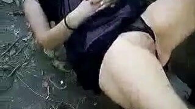 Dans Les Bois De Pau 2