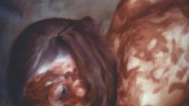 Поппорн, 1978