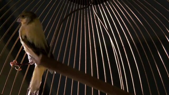 Angelina Jolie - Первородный грех (2001)