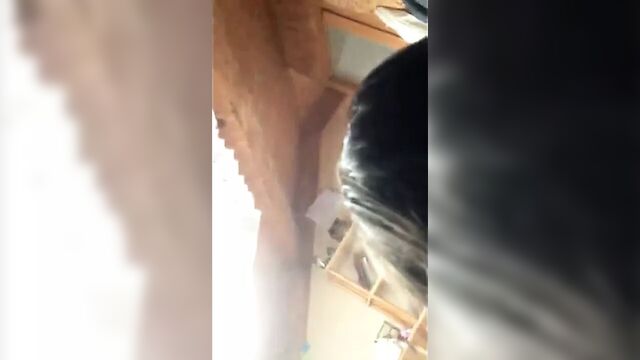 Болгарская членососка Monika