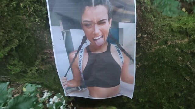 Трибьют для Dixie D'amelio