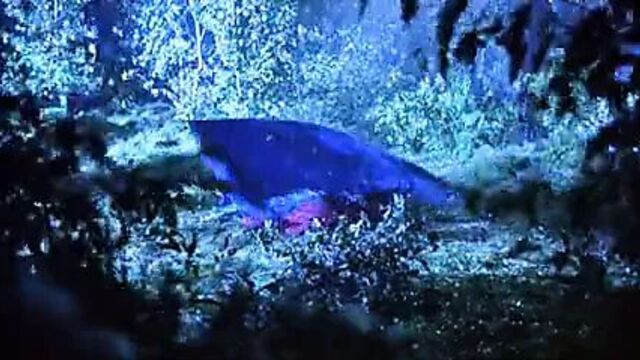 Patricia Arquette - человеческая натура