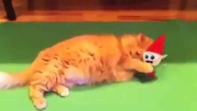 12 дней эльфов