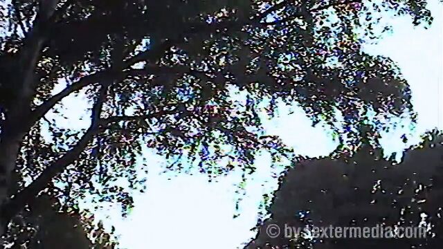 Секс на Parkplatz с polizeieinsatz