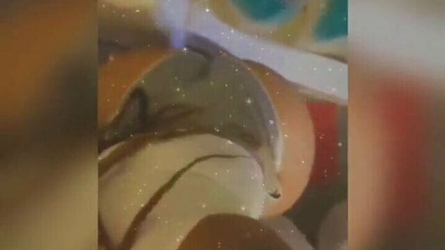 Чернокожая толстушка в лесных джунглях