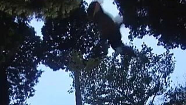 Японская эротичная женщина-ниндзя