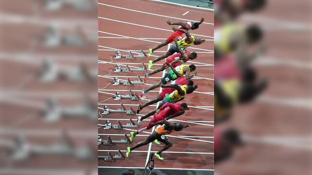 Конкурс спермы, биология, сперма, эволюция, природа