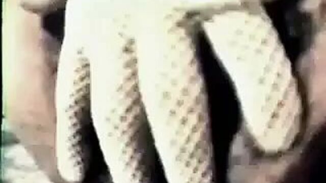 Огромная волосатая киска Kellie Everts №2