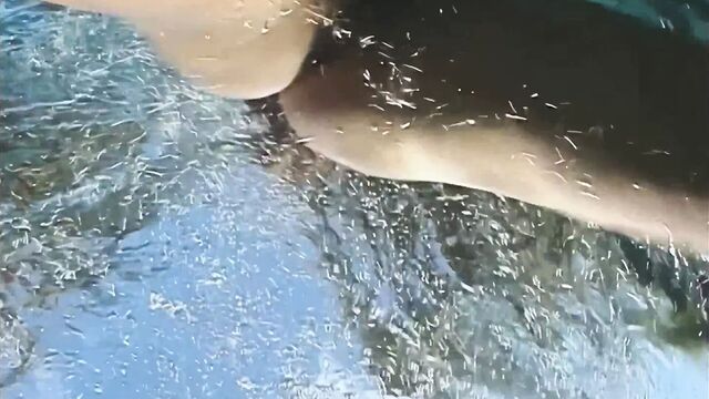 Плавание с Autumn Jade и ее огромными сиськами, увеличенный до 4K