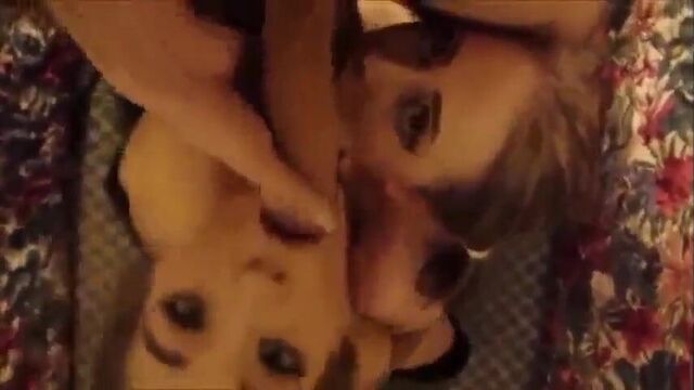 Мое новое свидание от xhamster 50