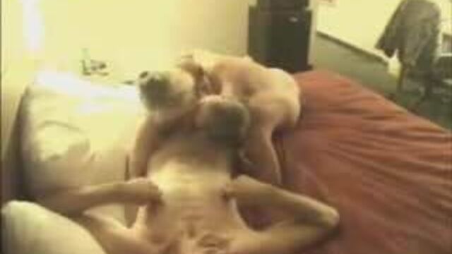 Бисексуальное видео