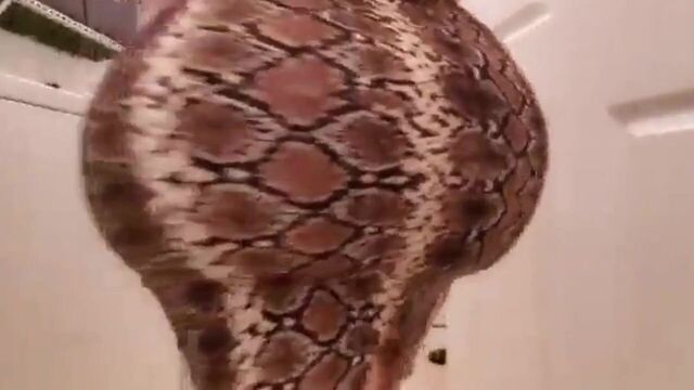 Дело мачехи и пасынка 102 (латина с большой задницей, мачеха)