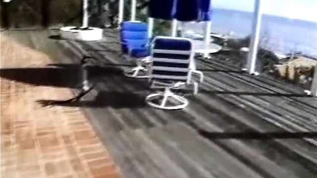 Жопа Krysti Lynn