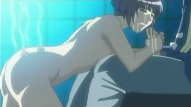 Махаон в ласточкином хвосте, 2 ночи