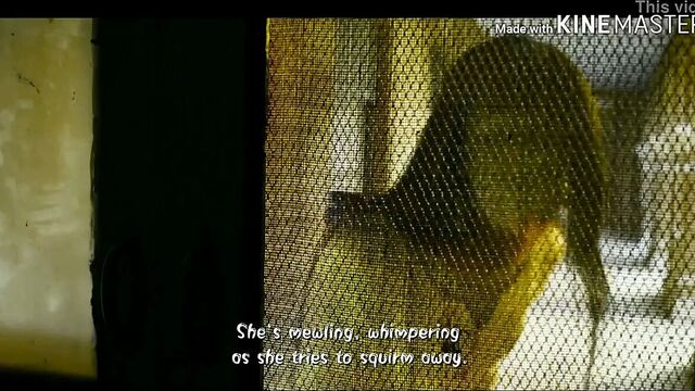 Романтические секс-сцены из Mirzapur серии 1