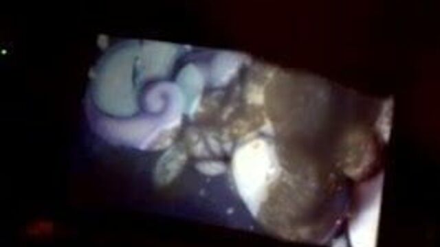 Дикая встреча с # 314 освещением!