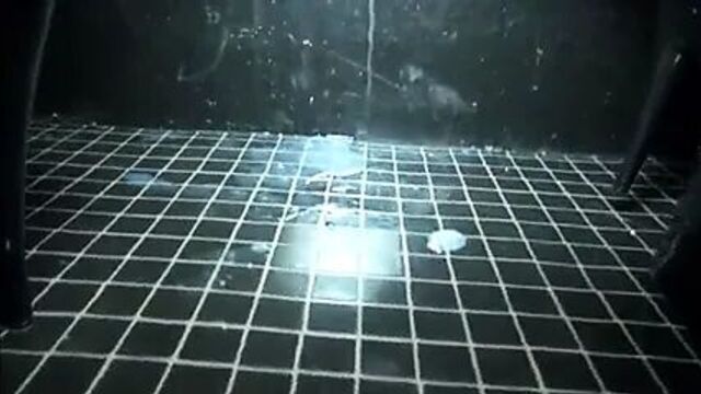 Многократные кримпаи у глорихола