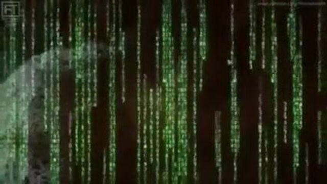 Skylar Rene, Michelle Amara Jacot, vfarted