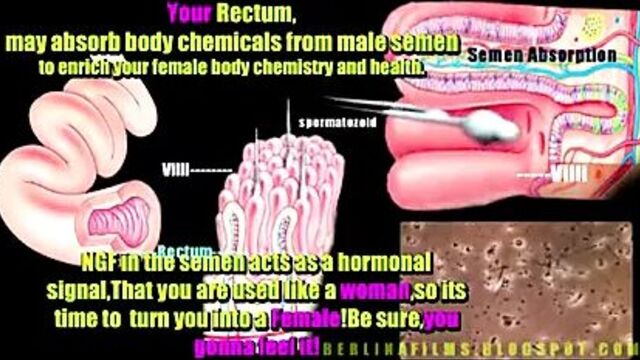 Berlinaфильмы, короткометражка