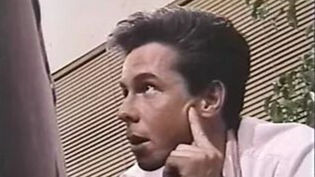 Peter North - Paula Price (Раро)