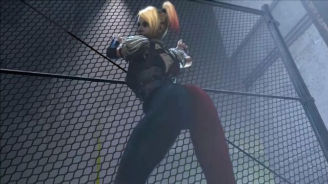 Harley Quinn: подборка