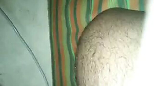 Новая Шри-Ланка