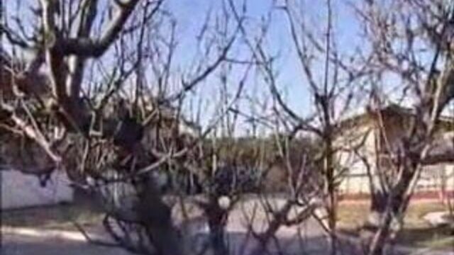 En Familia и Hogar Muy Caliente. часть 3