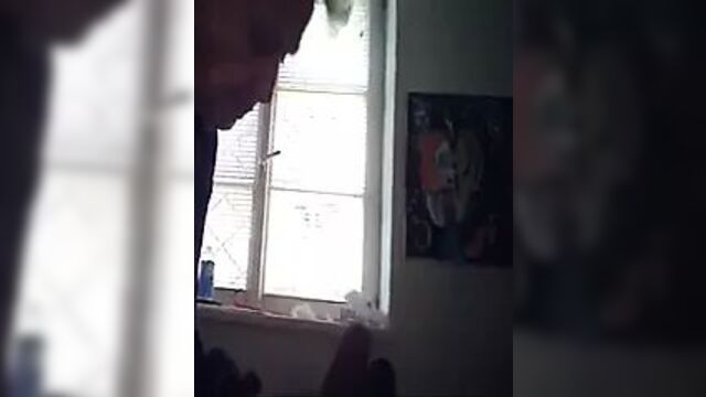 Мать моей жены ...