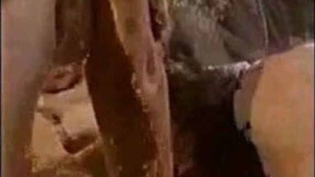 Развлечение в тройничке с гермафродитом