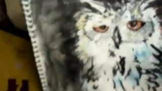 Вагинальная картина 1