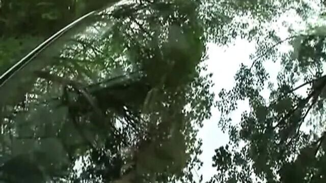 Британская милфа прогуливается в лесу