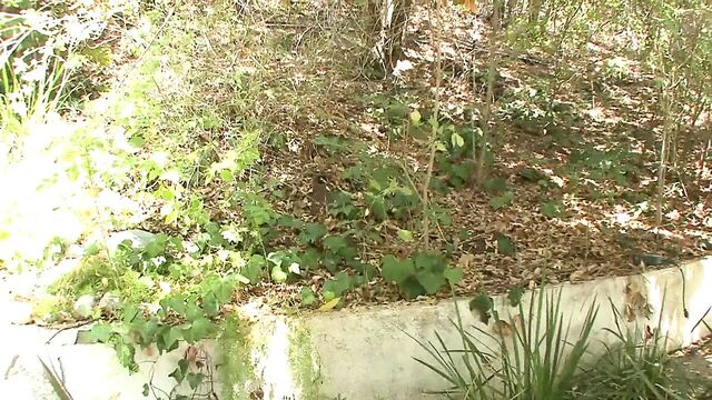 Zoey Nixon трахается и сосет член ради горячей спермы