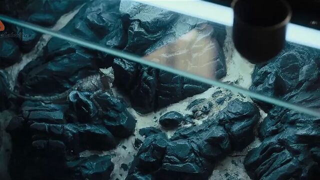 Claire Foy - девушка в паутине 2018