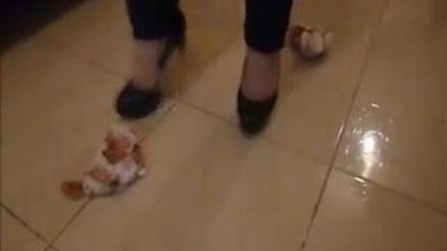 Раздавить каблуки