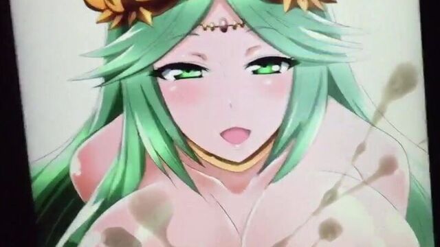 Palutena Sop