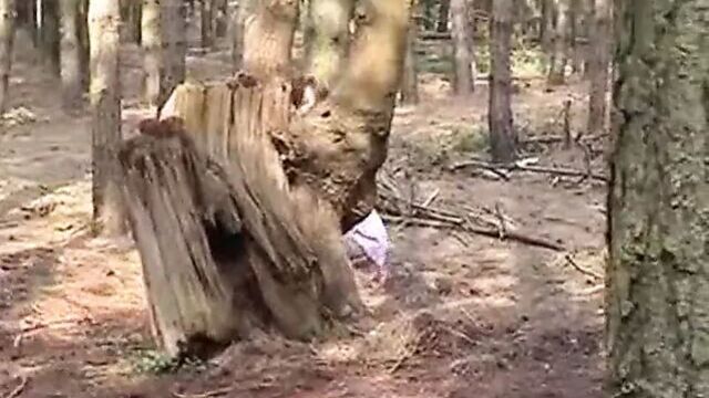 Лесной стриптиз с участием Anna J