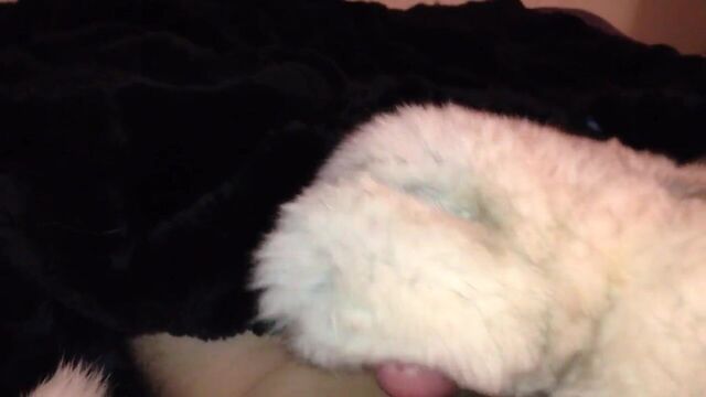 Перчатки из меха лисы