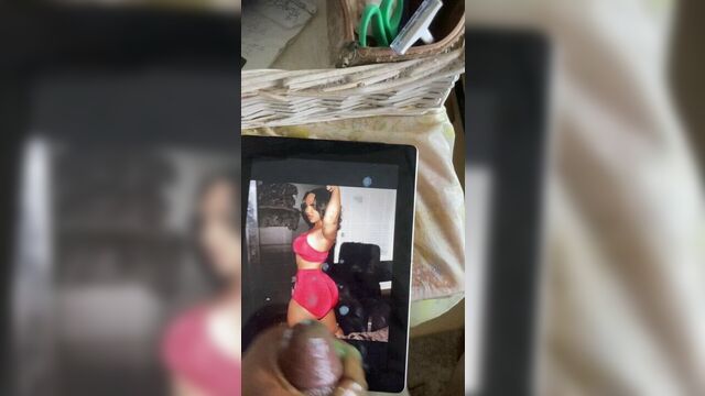 Трибьют со спермой для Ari Fletcher