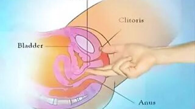 Сквирт (женская эякуляция) также называют Amrita.