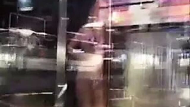 Eva Henger (шоу-модель 3)