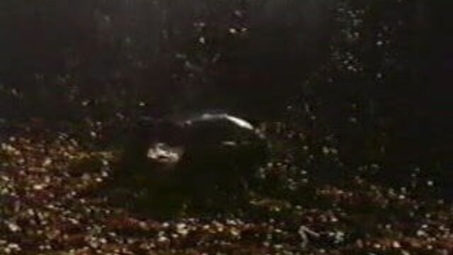 Carole Laure - La Nuit Hortense