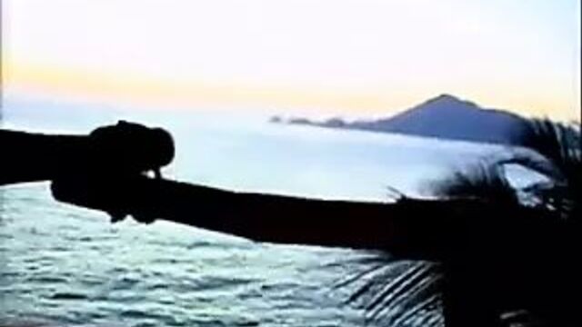 Taylor Hayes и Seymore Butts - минет в бизнес по обезьянкам