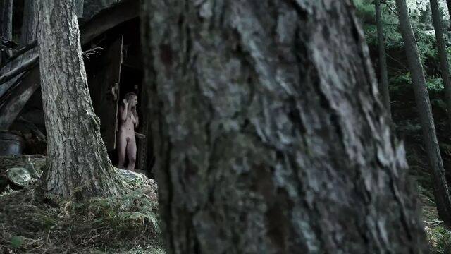 Серия Vikings, подборка