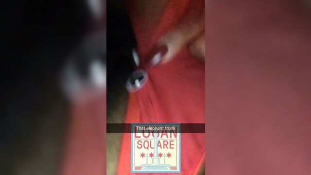 Минет для туловища для слона