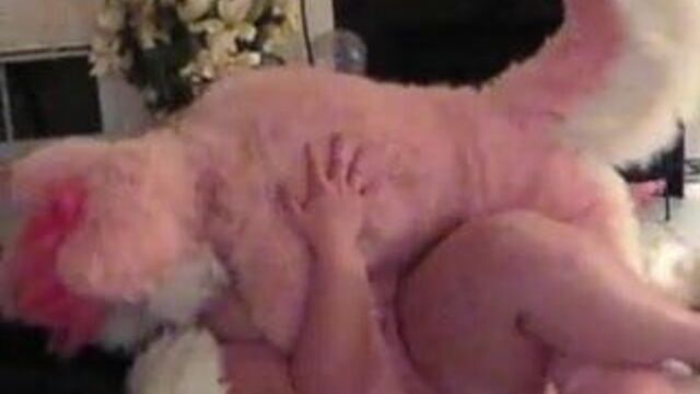 Розовая лайка трахается с толстушкой, пока не кончит