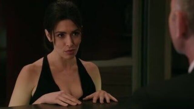 Sarah Shahi - человек, представляющий интерес s4e07