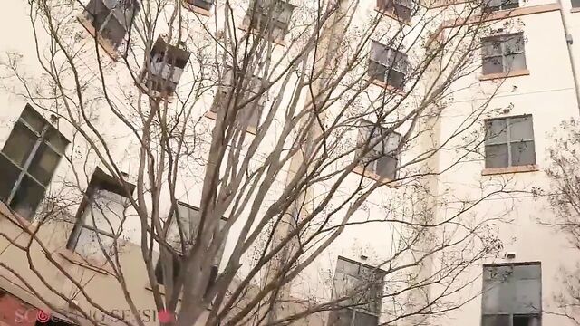 Красивой чернокожей девственнице сосут подошвы