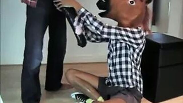 Мистер Ed и мисс Ed